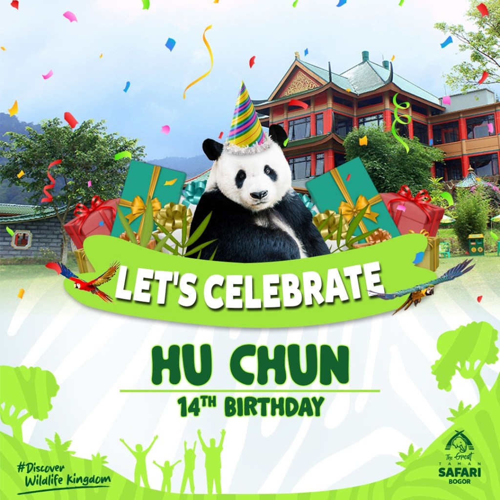 Yuk Saksikan Perayaan Ulang Tahun Hu Chun ke-14 di Taman Safari Bogor: Akan Ada Game dan Event&nbsp;Seru!
