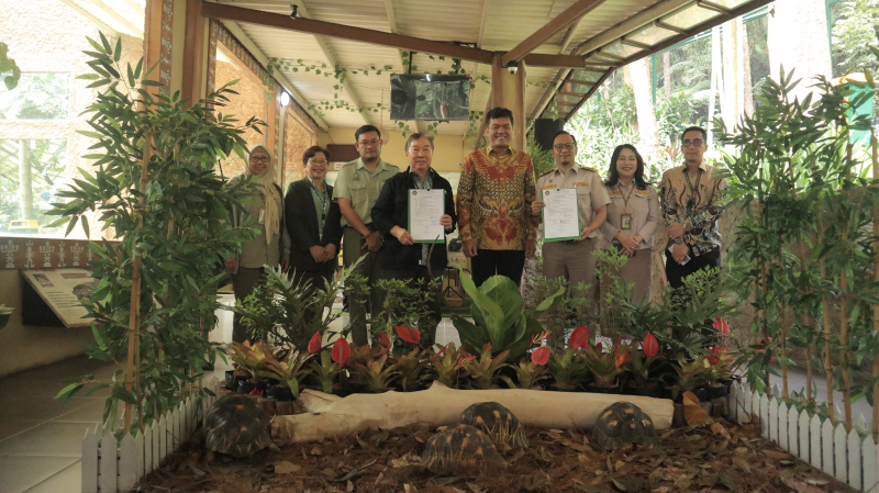Langka di Dunia! Taman Safari Bogor Terima Empat Kura-kura Madagaskar Sitaan Badan Karantina&nbsp;Indonesia